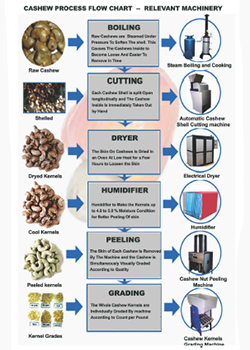 Cashew-Nut-1.jpg